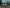 media thumbnail 4