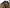 media thumbnail 2