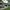 media thumbnail 1