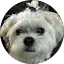 Katie Wilson Avatar