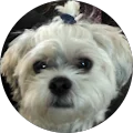 Katie Wilson Avatar