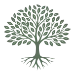 Rooted Chiropractic & Acupuncture