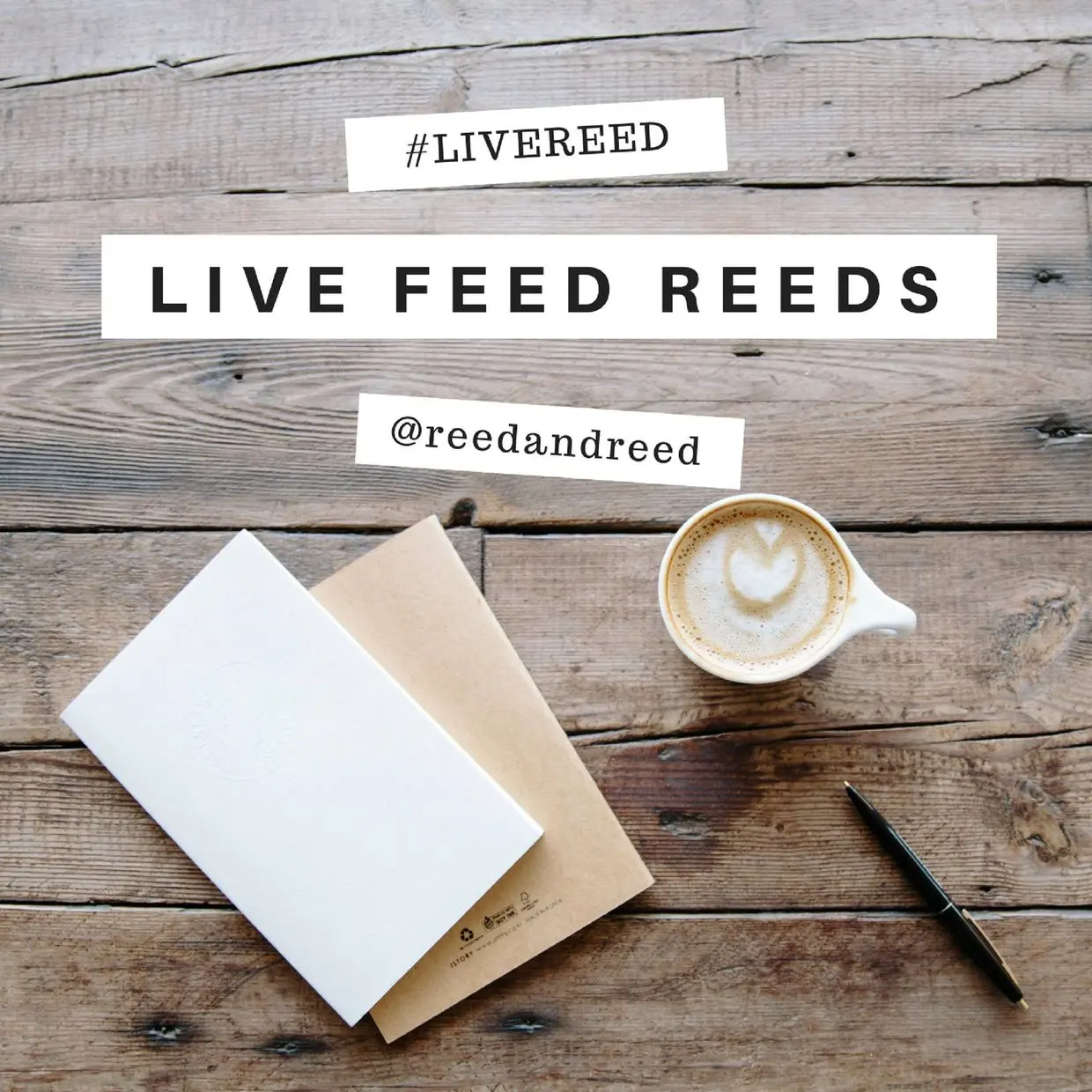 live feed reed