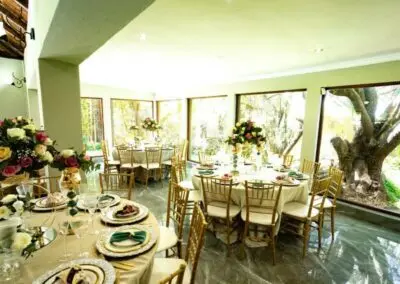 Olive Tree Hide Party Venue Johannesburg