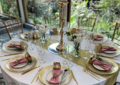 Olive Tree Hide Party Venue Johannesburg