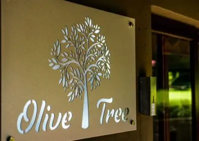 Olive Tree Hide Party Venue Johannesburg