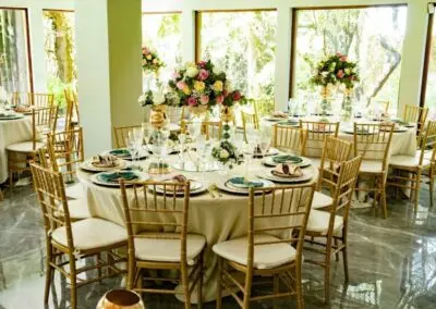 Olive Tree Hide Party Venue Johannesburg