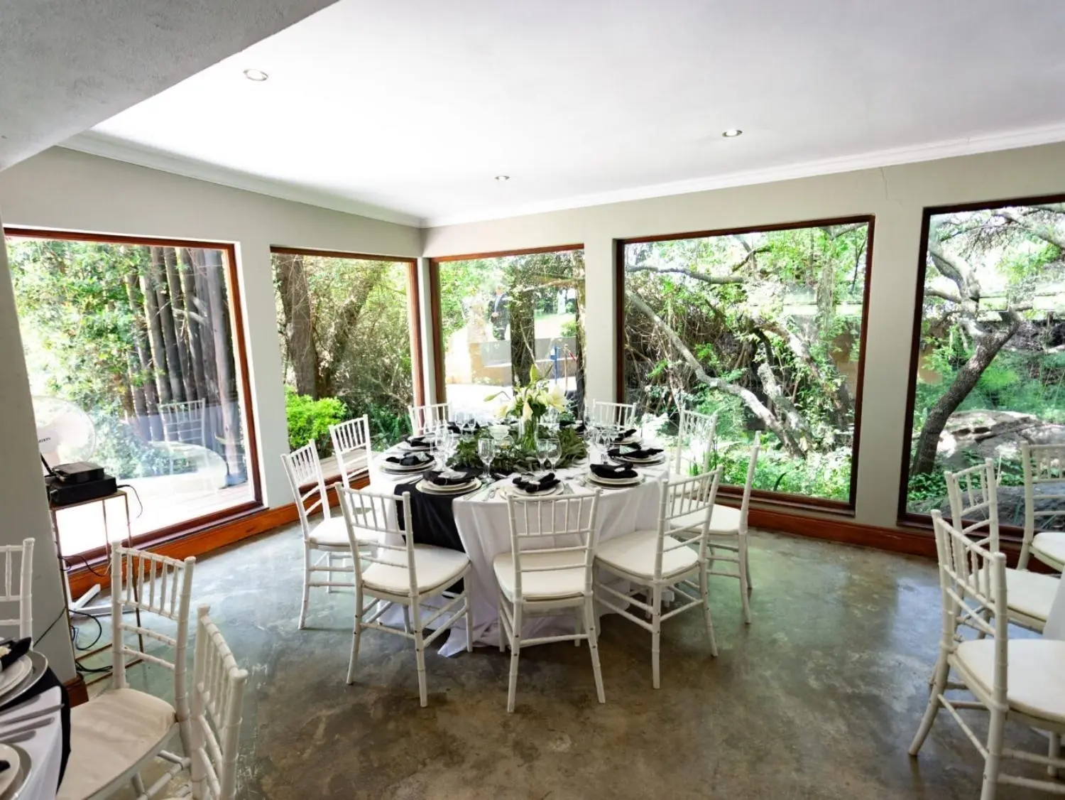 Olive Tree Hide Party Venue Johannesburg