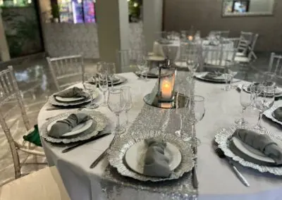 Olive Tree Hide Party Venue Johannesburg