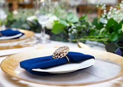 Olive Tree Hide Party Venue Johannesburg