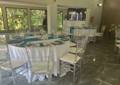 Olive Tree Hide Party Venue Johannesburg