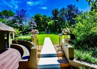 Olive Tree Hide Party Venue Johannesburg