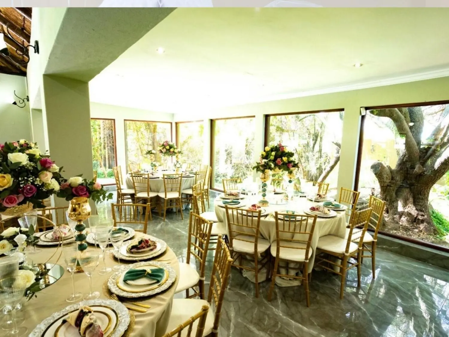 Olive Tree Hide Party Venue Johannesburg