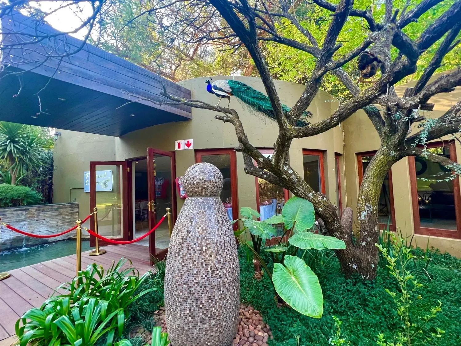 Peacock Party Venue Johannesburg