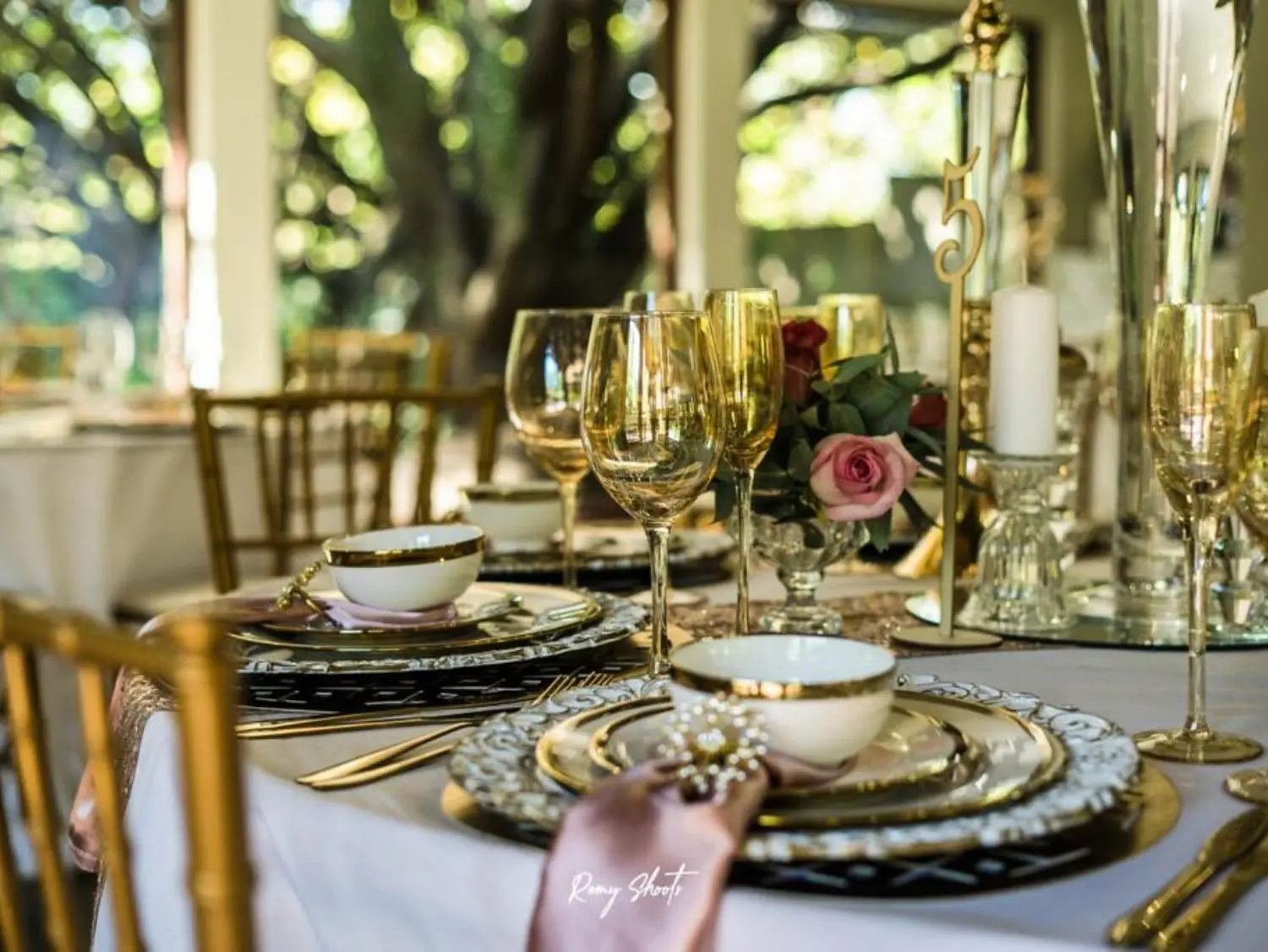 Peacock Room Wedding Venue Johannesburg