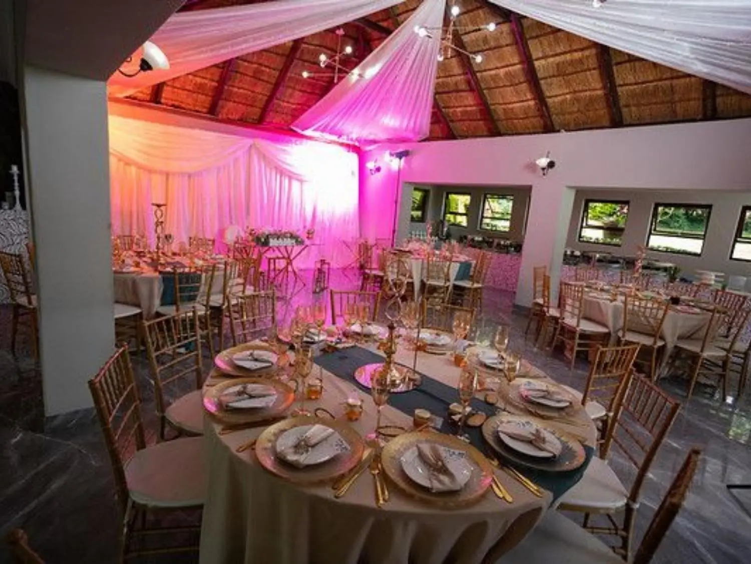 Olive Tree Hide Party Venue Johannesburg