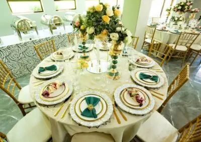 Olive Tree Hide Party Venue Johannesburg