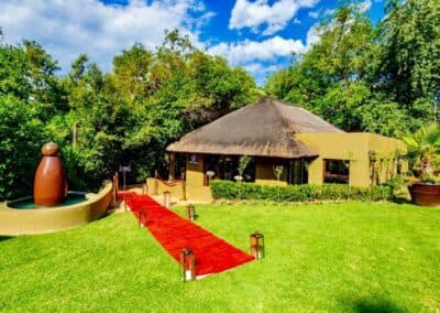 Olive Tree Hide Party Venue Johannesburg