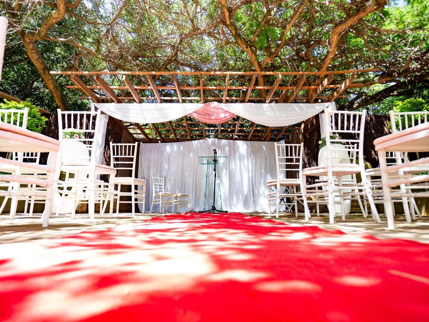 Olive Tree hide Wedding venue Johannesburg