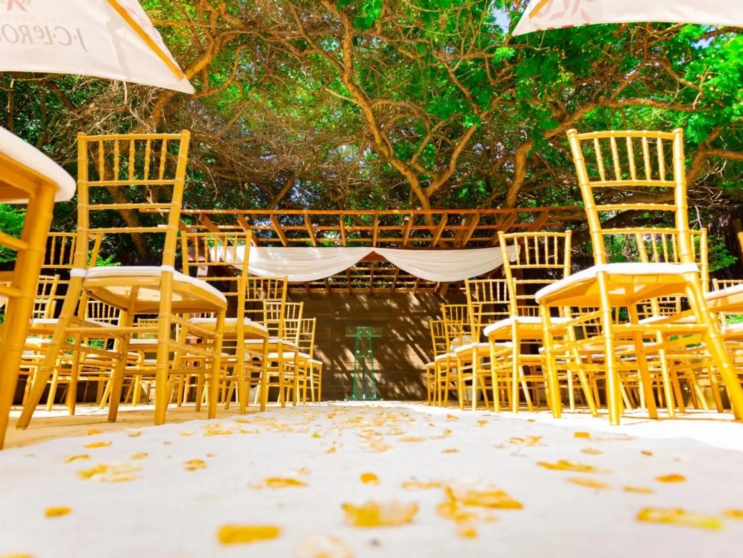 Peacock Room Wedding Venue Johannesburg