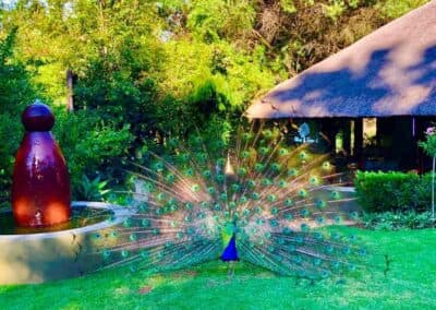Olive Tree Hide Party Venue Johannesburg