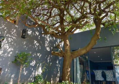 Makhulu Boardroom Parties