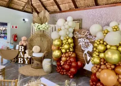 Olive Tree Hide Party Venue Johannesburg