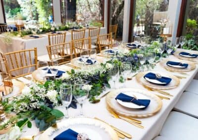 Olive Tree Hide Party Venue Johannesburg