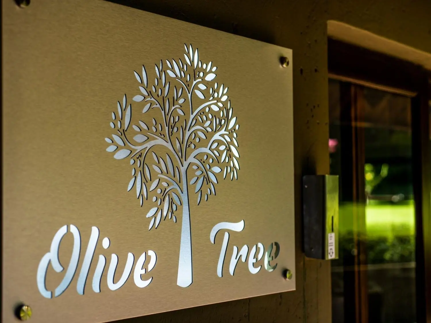 Olive Tree Hide Party Venue Johannesburg