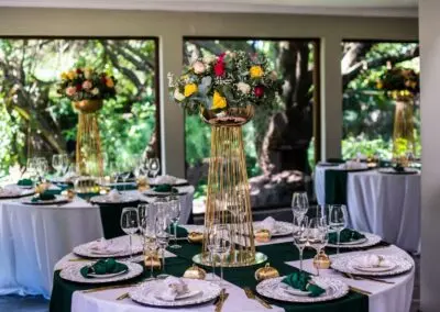 Olive Tree Hide Party Venue Johannesburg