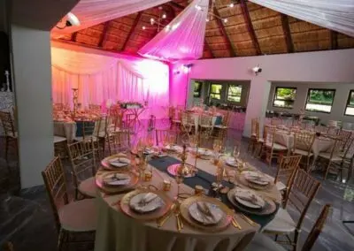 Olive Tree Hide Party Venue Johannesburg