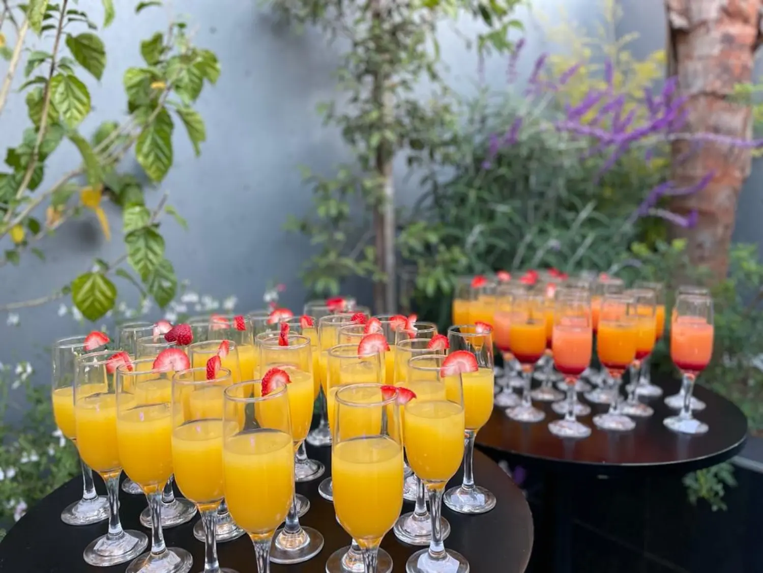 Fever Tree Party Venue Johannesburg