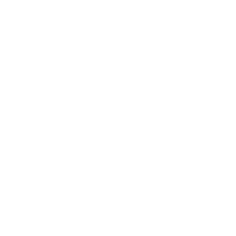 white favicon logo