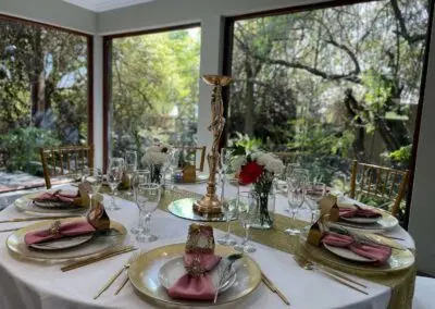 Olive Tree Hide Party Venue Johannesburg