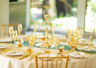 Olive Tree Hide Party Venue Johannesburg