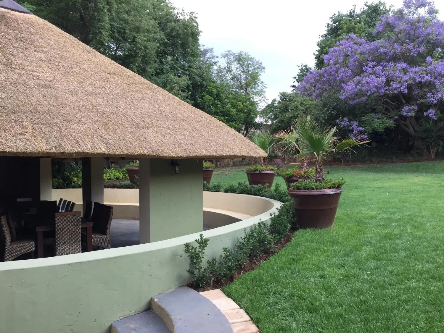 Olive Tree Hide Party Venue Johannesburg
