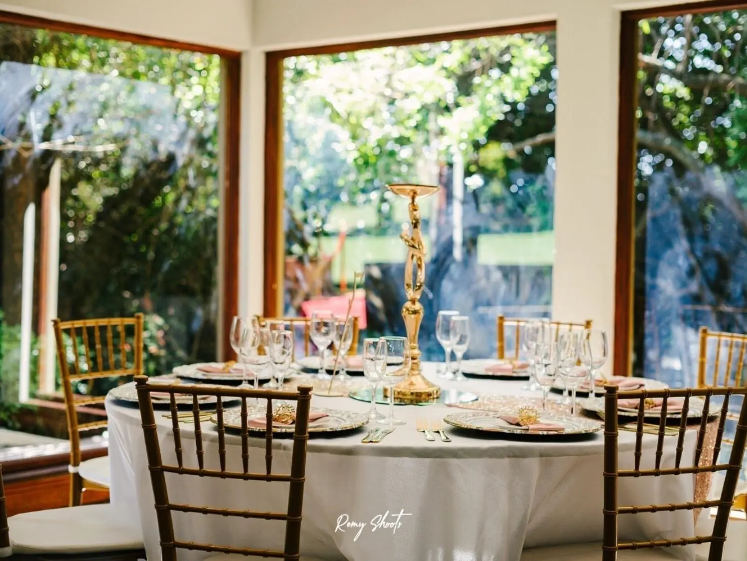 Olive Tree Hide Party Venue Johannesburg