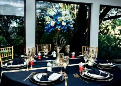 Olive Tree Hide Party Venue Johannesburg