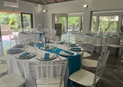 Olive Tree Hide Party Venue Johannesburg