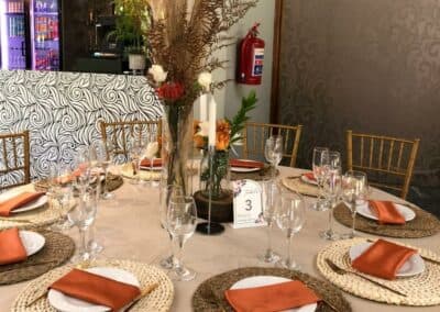 Olive Tree Hide Party Venue Johannesburg