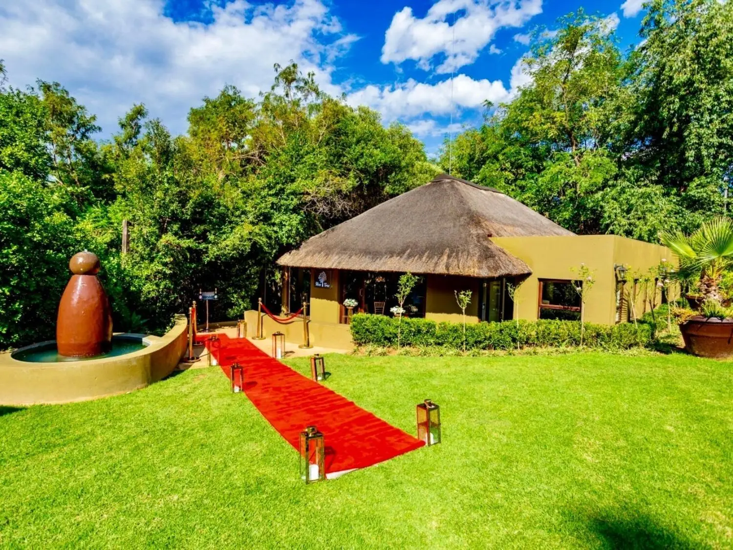 Olive Tree Hide Party Venue Johannesburg