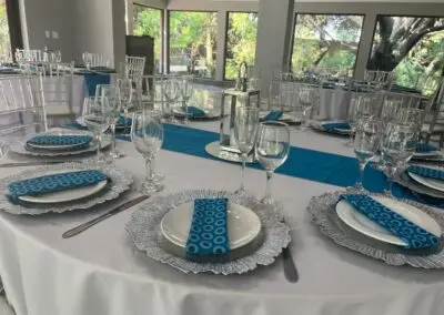 Olive Tree Hide Party Venue Johannesburg