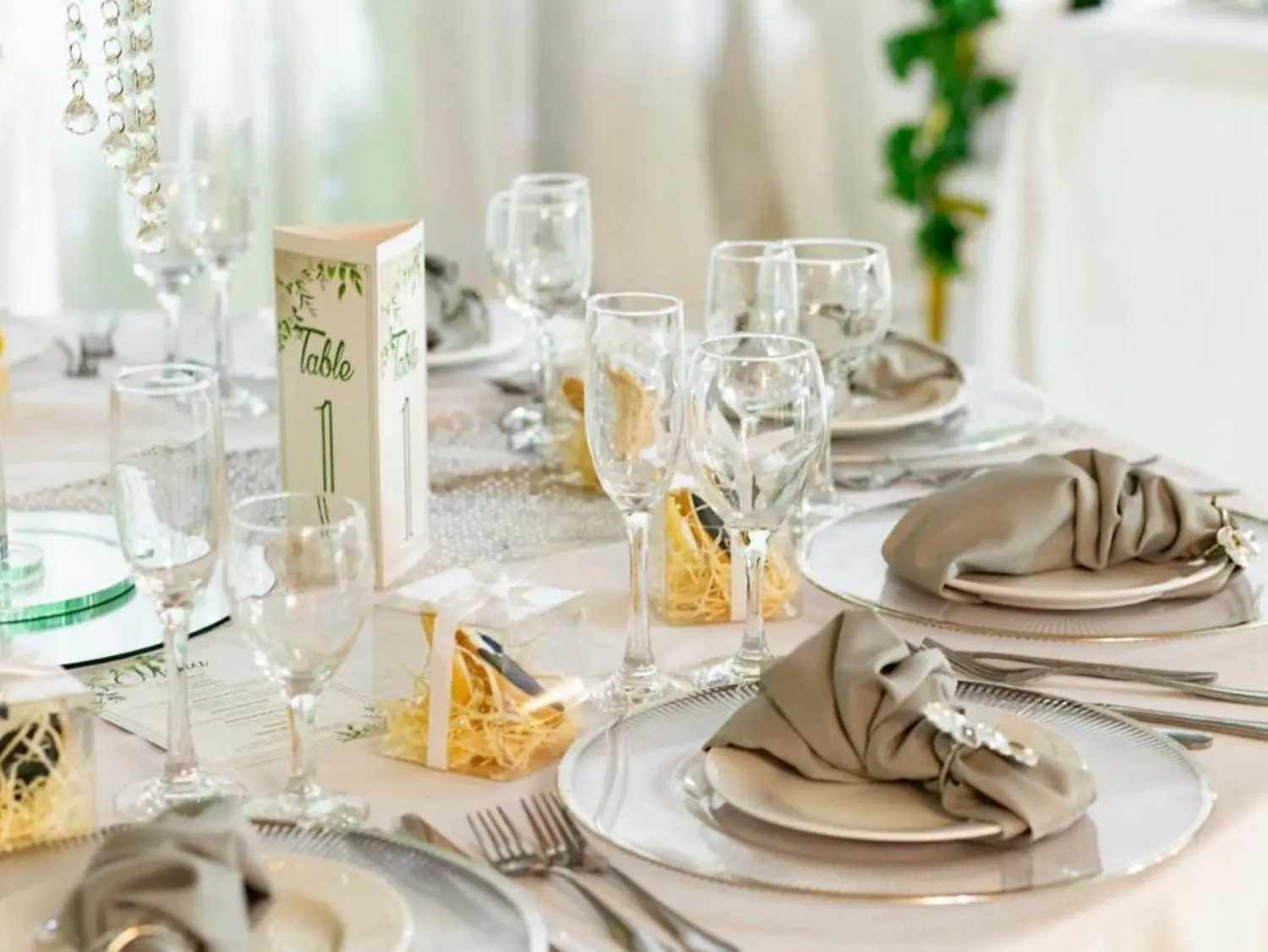 Olive Tree Hide Party Venue Johannesburg