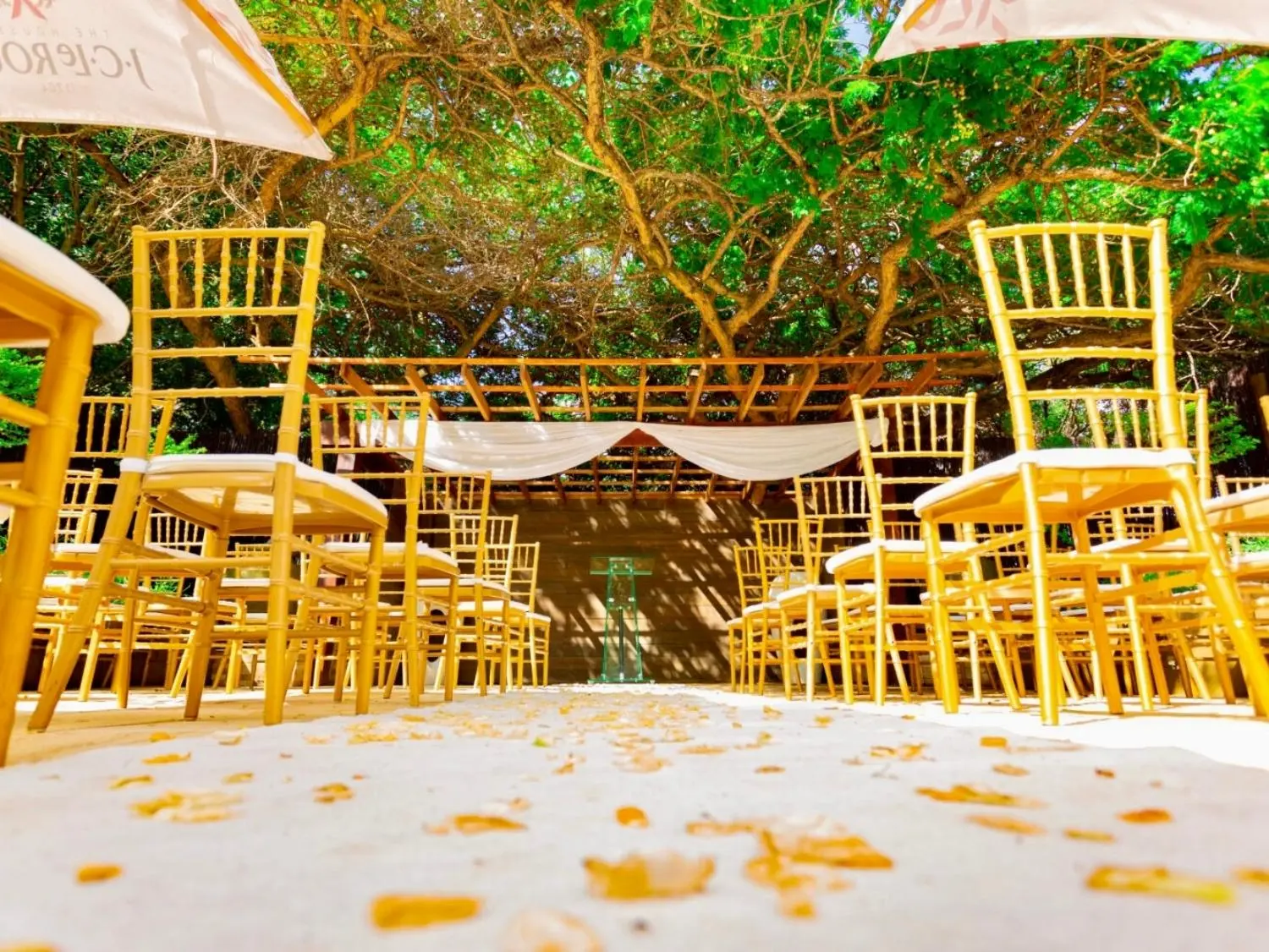 Olive Tree hide Wedding venue Johannesburg