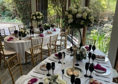 Olive Tree Hide Party Venue Johannesburg