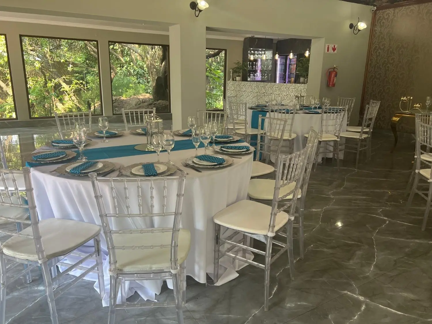 Olive Tree Hide Party Venue Johannesburg