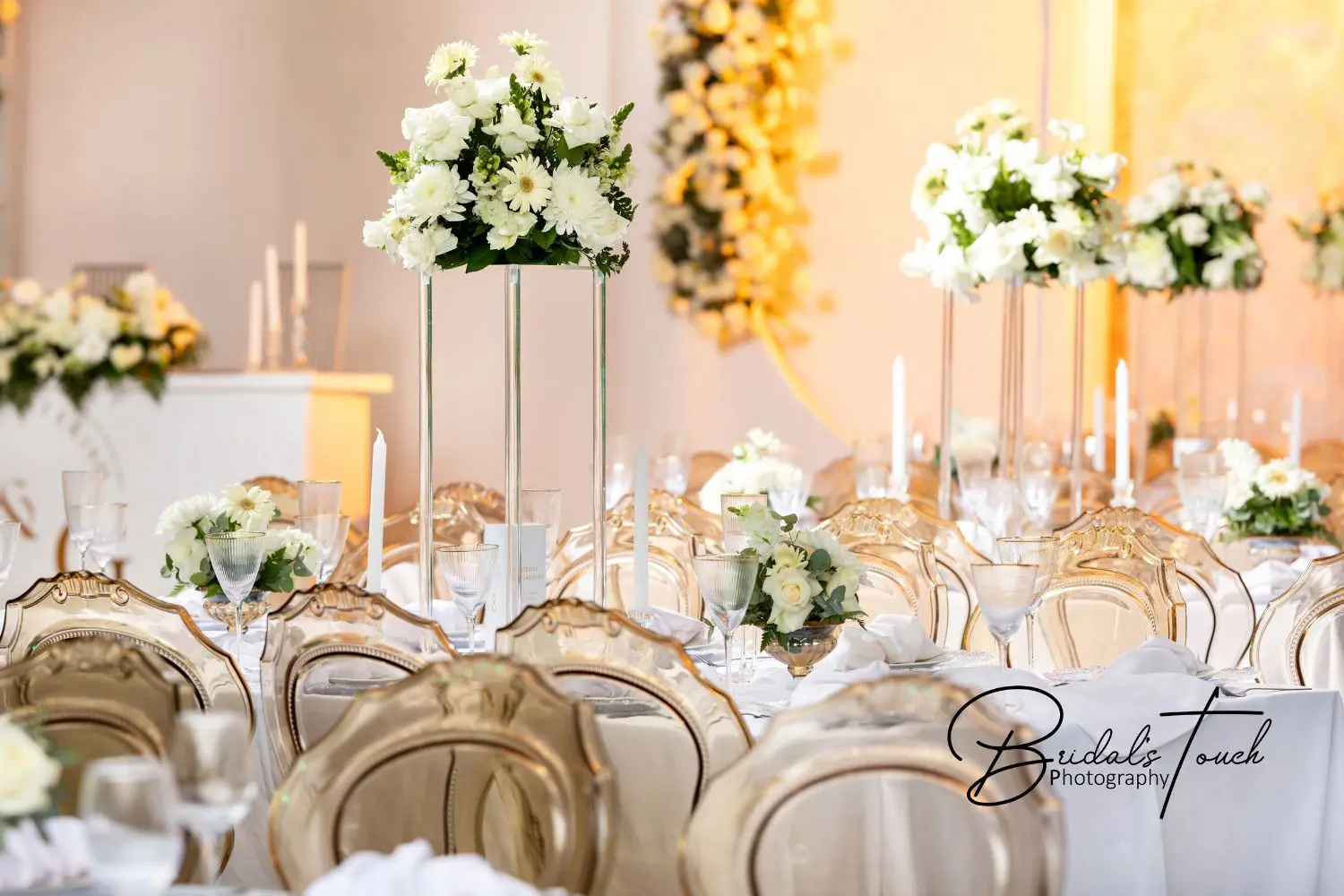 Elephant wedding (3) garden venue events