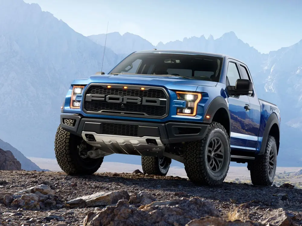 Raptor