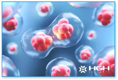 HGH Vallarta is the Best Place to Buy Real HGH Online 14 img14 6