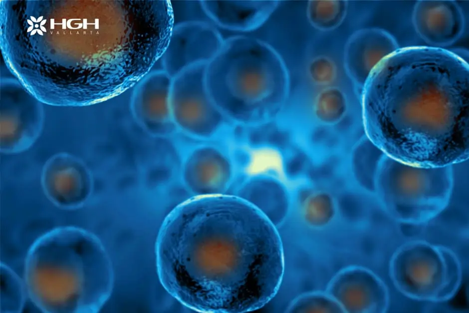 Why You Should Consider Stem Cell Therapy in Mexico? 1 HGH Stem Cells